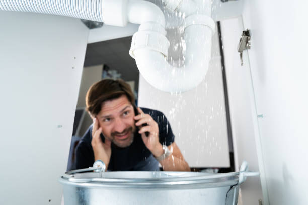 Best 24-Hour Plumber Near Me  in Plainview, TN