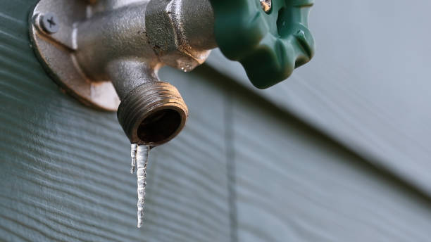 Best Commercial Plumbing Services  in Plainview, TN